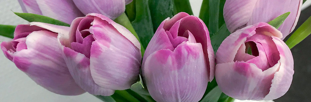 Zahnarztpraxis Dr. Angelika Büchel