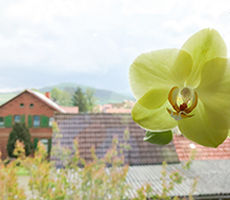 Zahnarztpraxis Dr. Angelika Büchel